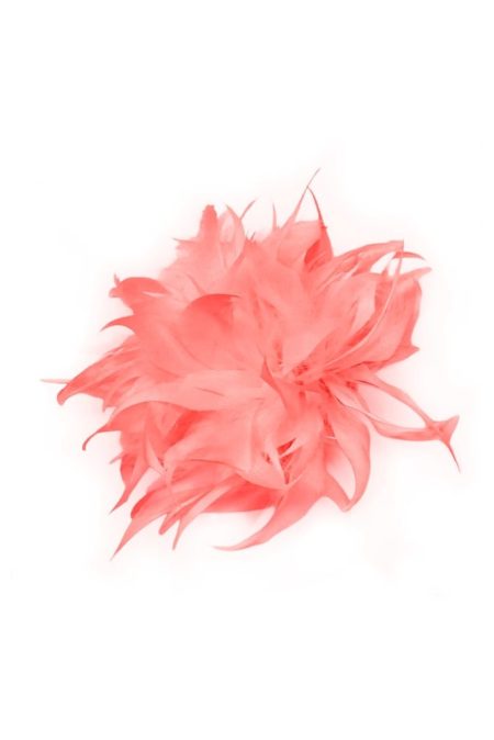 776000000000 Bianca Blomst hos NINNA i Ringsted og Næstved